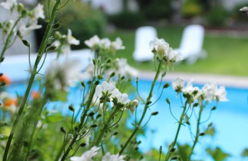 Rifiano Apartamento | Appartments Innerhofer