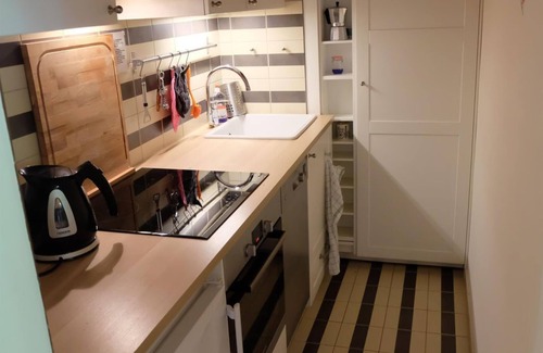 Werfenweng Apartamento | Appel, Apartment - App. "Appel"/1 bedroom/living room/shower, WC