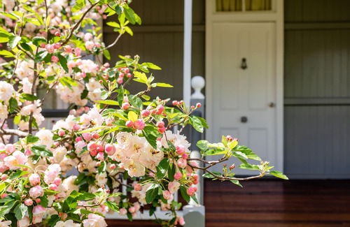 Stanthorpe Casa | Apple Blossom Cottage