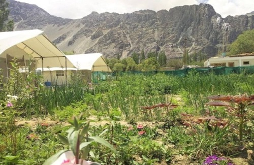 She Alquiler De RV | Apple Cottage Nubra - Glamping