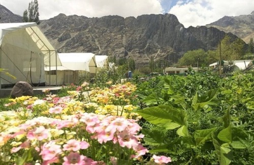 She Alquiler De RV | Apple Cottage Nubra - Glamping