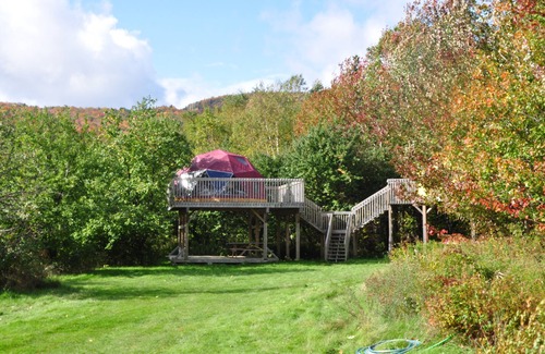 Indian Brook Complejo | Apple Dome en Cabot Shores Wilderness Resort