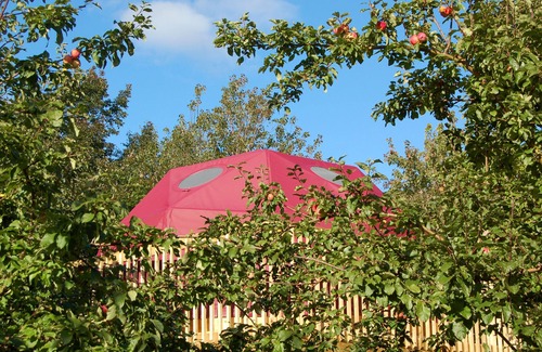 Indian Brook Complejo | Apple Dome en Cabot Shores Wilderness Resort