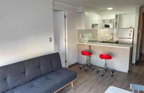 Placeres Apartamento | Aprtments Bravo Placeres