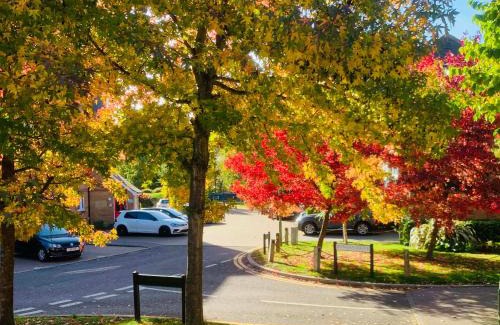 Hemel Hempstead Casa | Apsley Guest Rooms