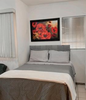 Asa Sul Apartamento | Apt 905 sul próximo Hospital Sarah Kubichek e Esplanada Ministérios