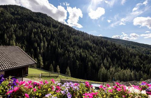 Sarentino Apartamento | Apt Bergblick Hinterproslhof