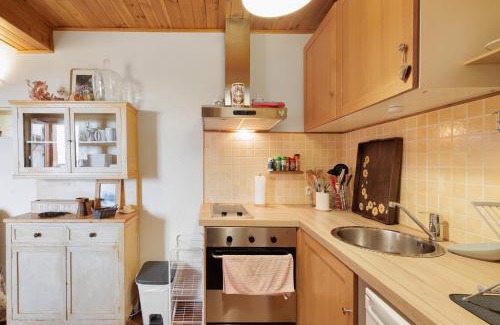 Osseja Apartamento | Apto Céntrico En Ossèja