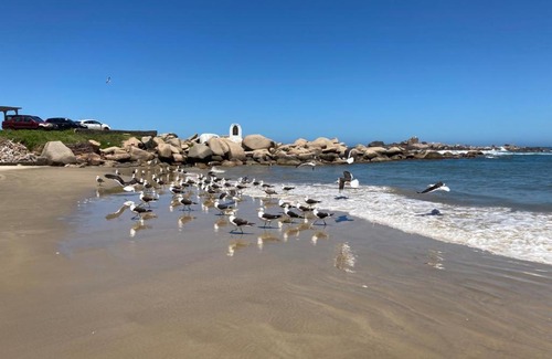Laguna Apartamento | Apto com vista para o mar e o farol - loft 323