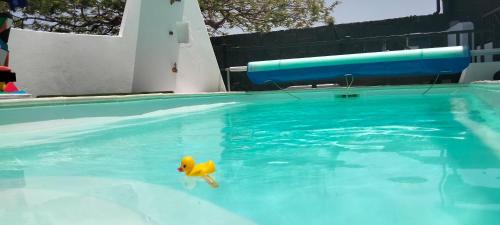 Teguise Apartamento | Aptos con piscina El Flamboyán 1