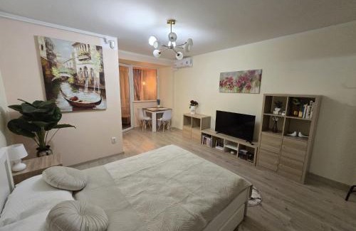 Baia Mare Apartamento | Apus