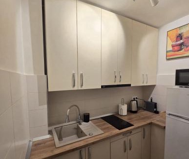 Baia Mare Apartamento | Apus