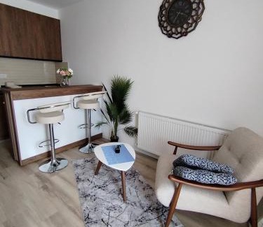 Jagodina Apartamento | Aqua Apartments 2