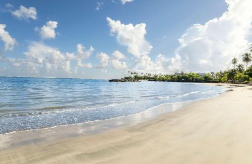 Dorado Pueblo Apartamento | AQUA Terrazas Studio 3 - Beachfront, Pool, Local Fun & Dining