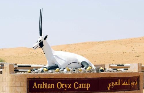 Bidiya Otro | Arabian Oryx Camp