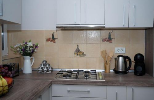 Arad Apartamento | ARAD PLAZA Viktoria Apartament