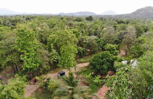 Dambulla Complejo | Araliya Self Cooking Resort Dambulla