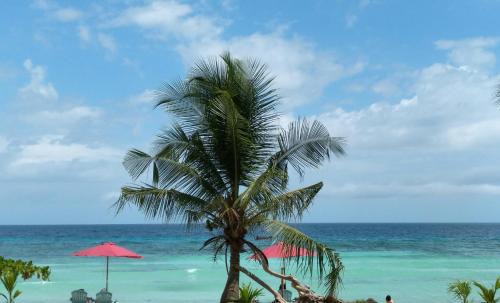 Libaong Complejo | ARAMARA Resort