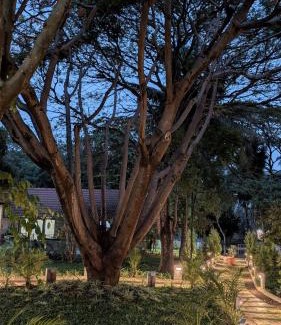 Electronics City Complejo | Aranyeh People Tree Resort