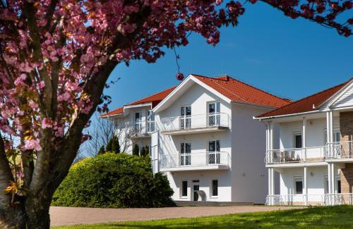 Szarvas Apartamento | Aranyszarvas Panzió*, Étterem és Grillterasz