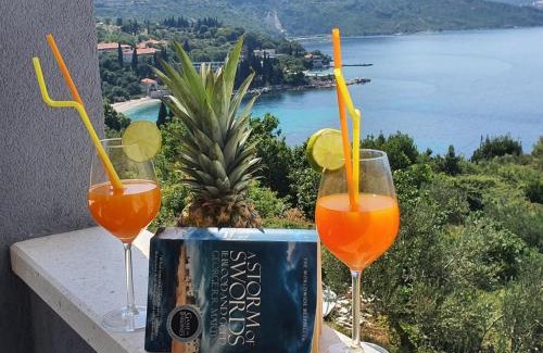 Zupa dubrovacka Apartamento | Arba Seaview Residences Apartments