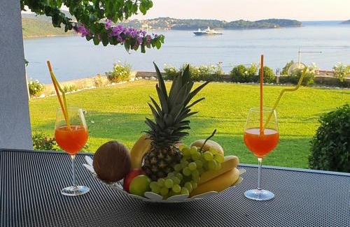 Zupa dubrovacka Apartamento | Arba Seaview Residences Apartments