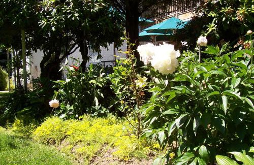 East Marion Cama Y Desayuno | Arbor View House Bed and Breakfast