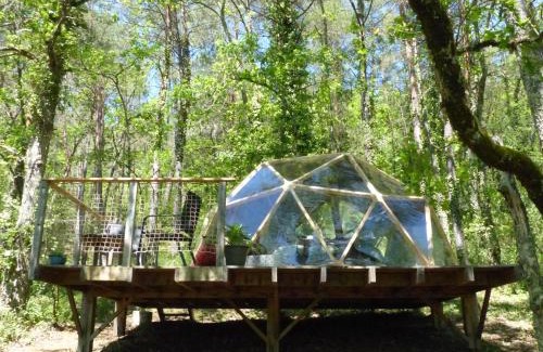 Montignac Otro | Arborea, nuits insolites au cœur de la forêt