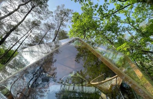 Montignac Otro | Arborea, nuits insolites au cœur de la forêt
