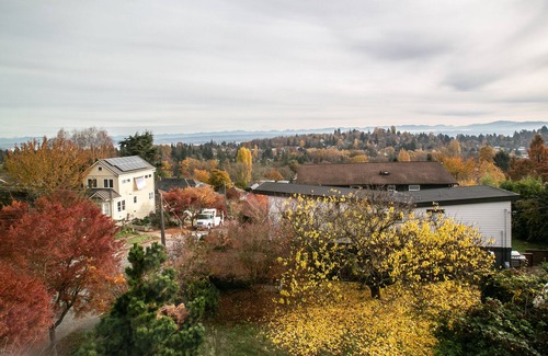 Stevens Cabaña | Arboretum View House