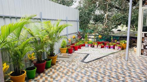 Mount Abu Casa | Arbuda inn