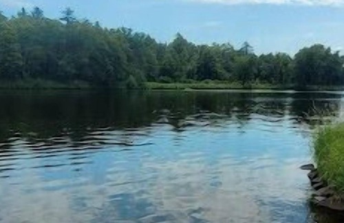 Merrillan Cabina | Arbutus Lake Front Cabin, Neillsville! ATV trails and dock for your boat on site