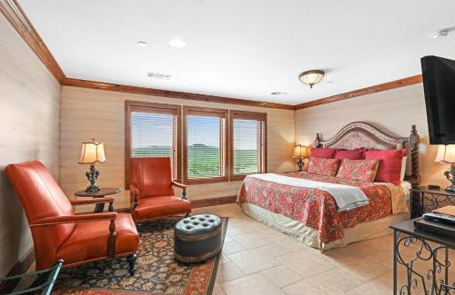 Johnson City Hotel | Arc de Texas - Napoleon Suite