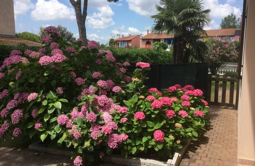 Rosolina Apartamento | Arcada, Italy