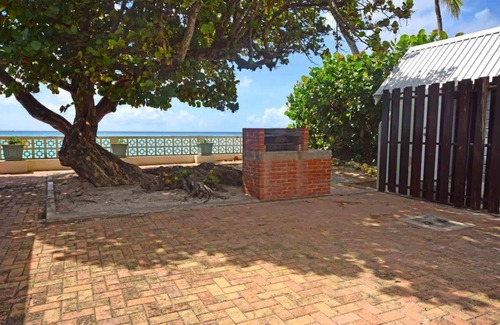 Worthing Casa | Arcadia Summary: Arca