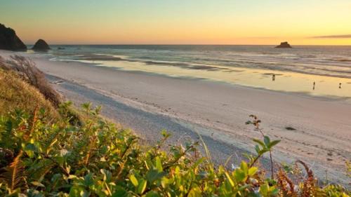 Arch Cape Casa | Arch Cape Escape by AvantStay Sensational Clift Top Home w Pacific Ocean Views