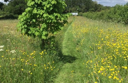 Leominster Otro | Archers Glamping Meadow