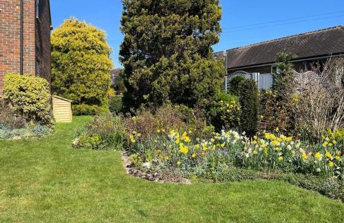 Lingfield Casa | Archtrees House - Family home in Surrey village
