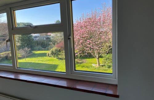Lingfield Casa | Archtrees House - Family home in Surrey village