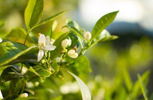 San Benedetto del Tronto Cama Y Desayuno | Arcobaleno B&B
