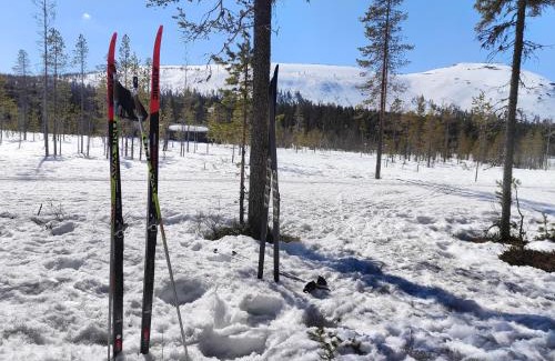 Yllas Apartamento | Arctic Hill Apartment Ylläs