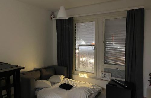 Rovaniemi Apartamento | Arctic Penthouse Studio with FREE parking and high-speed Wi-Fi