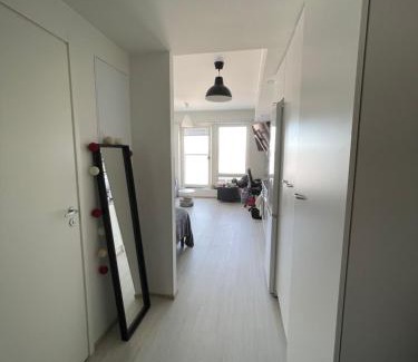 Rovaniemi Apartamento | Arctic Penthouse Studio with FREE parking and high-speed Wi-Fi