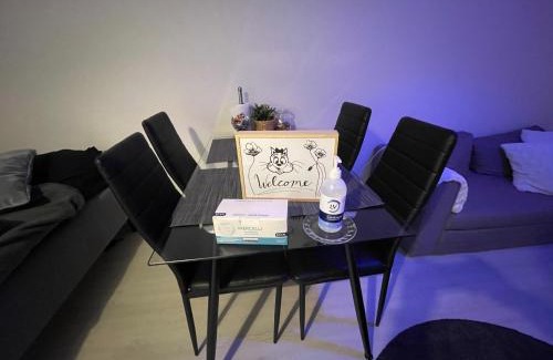 Rovaniemi Apartamento | Arctic Penthouse Studio with FREE parking and high-speed Wi-Fi