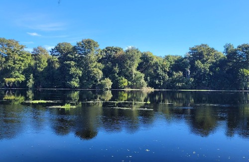 Lake Panasoffkee Cabina | Are a prefect weekend retreat or long term winter vacation home.