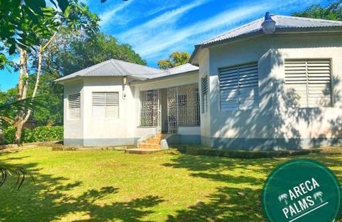 Port Antonio Casa | Areca Palms