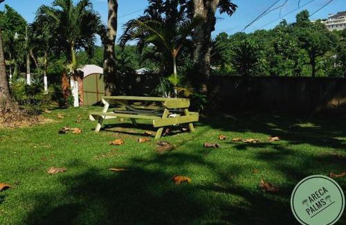 Port Antonio Casa | Areca Palms