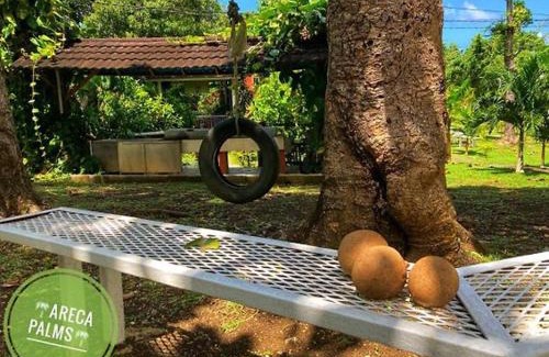 Port Antonio Casa | Areca Palms