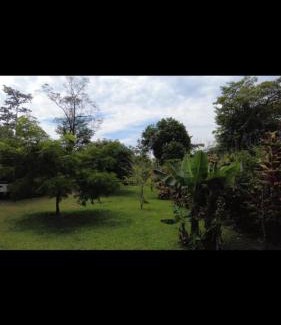 La Fortuna Casa | Arenal Hostel La Catarata