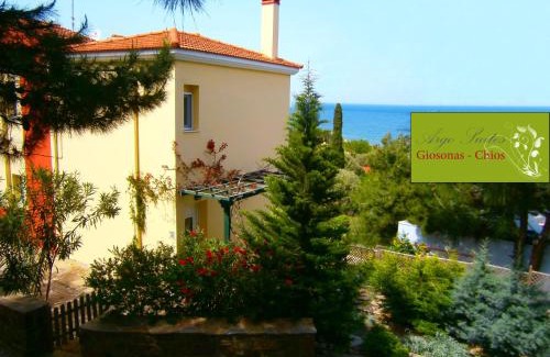 Avgonyma Apartamento | Argo Studios